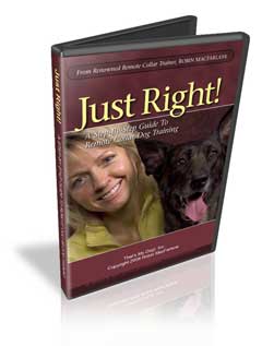 dog obedience training dvd